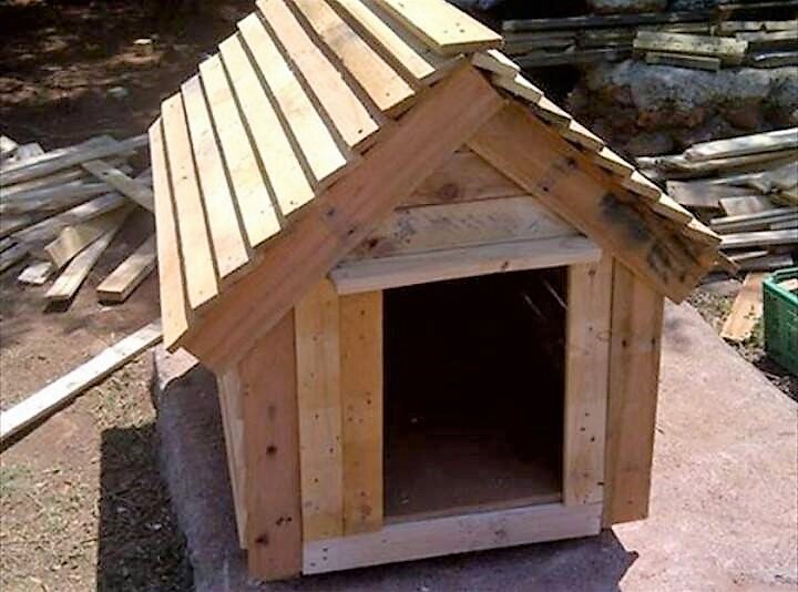 dog house with pallets